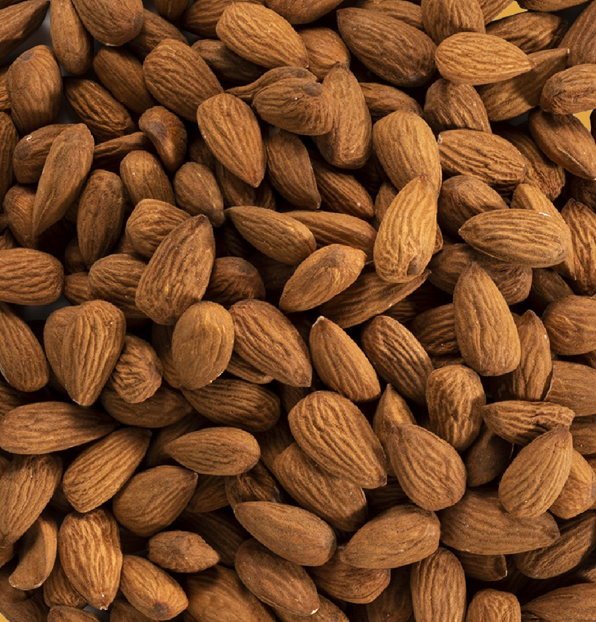 Amandes décortiquées  